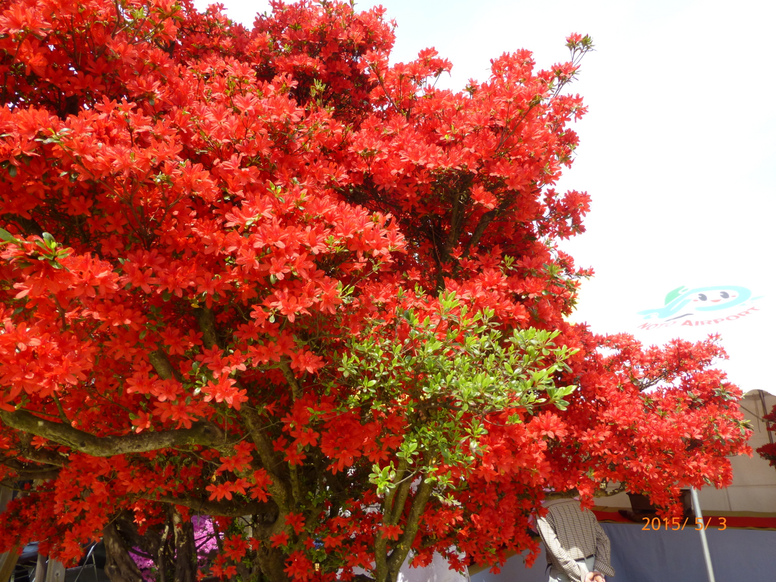 f:id:k10no3:20150503101608j:image:w560