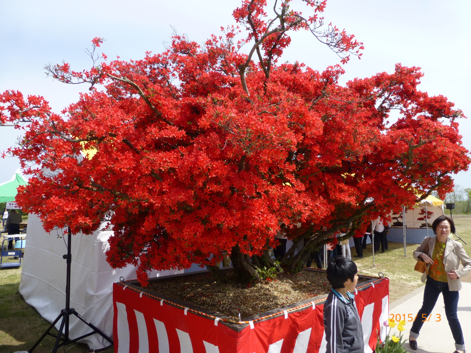 f:id:k10no3:20150503101618j:image:w279