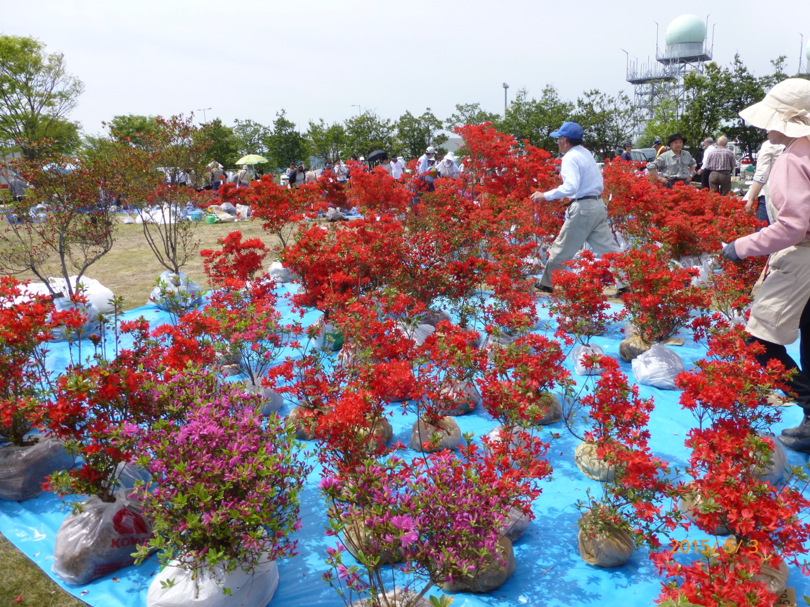 f:id:k10no3:20150503102216j:image:w560