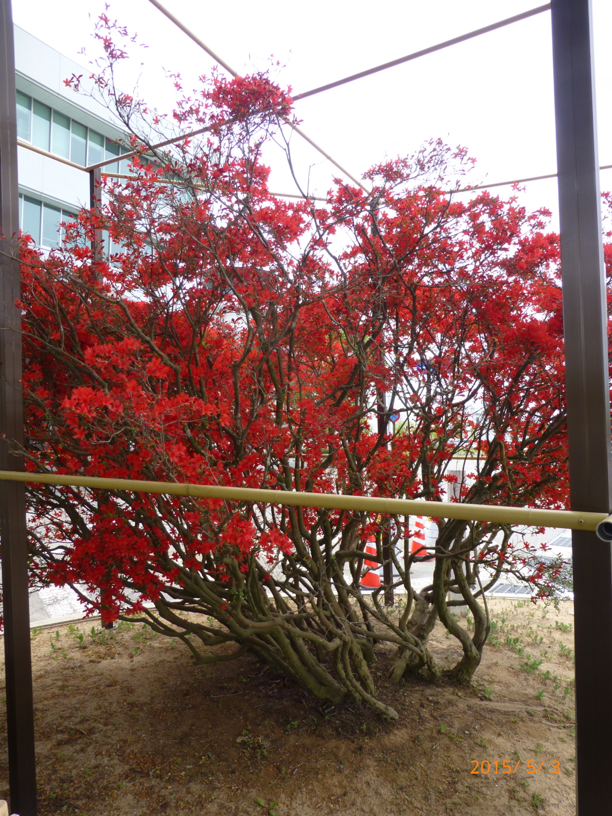f:id:k10no3:20150503103337j:image:w279