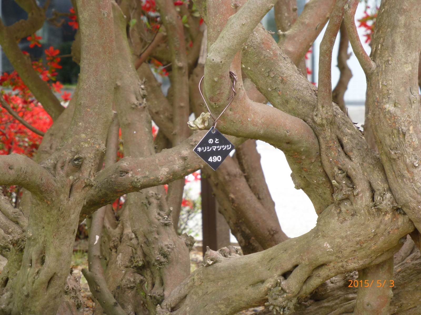 f:id:k10no3:20150503103403j:image:w560