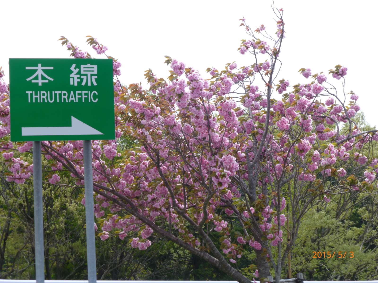 f:id:k10no3:20150503111150j:image:w560
