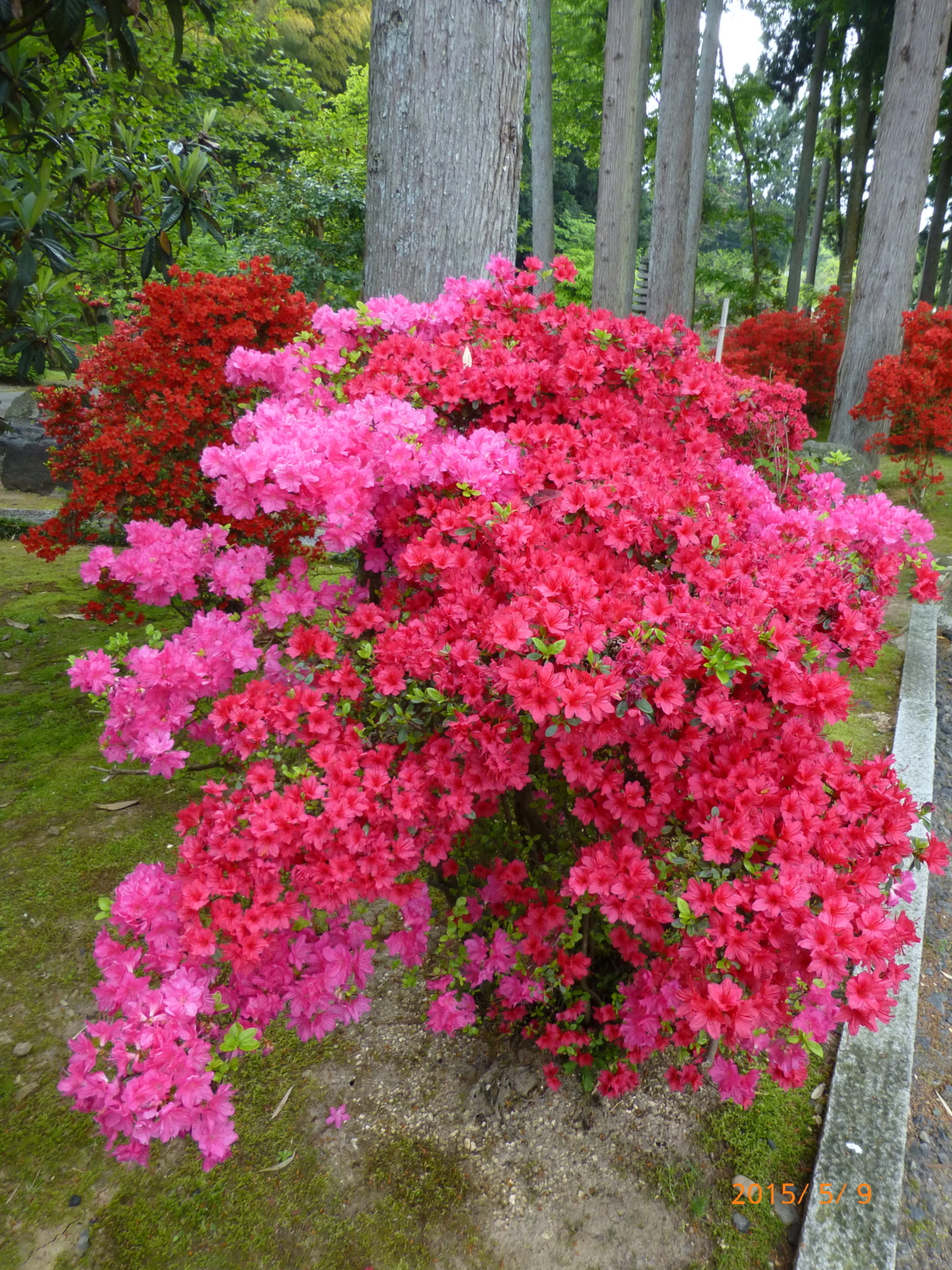 f:id:k10no3:20150509135828j:image:w279