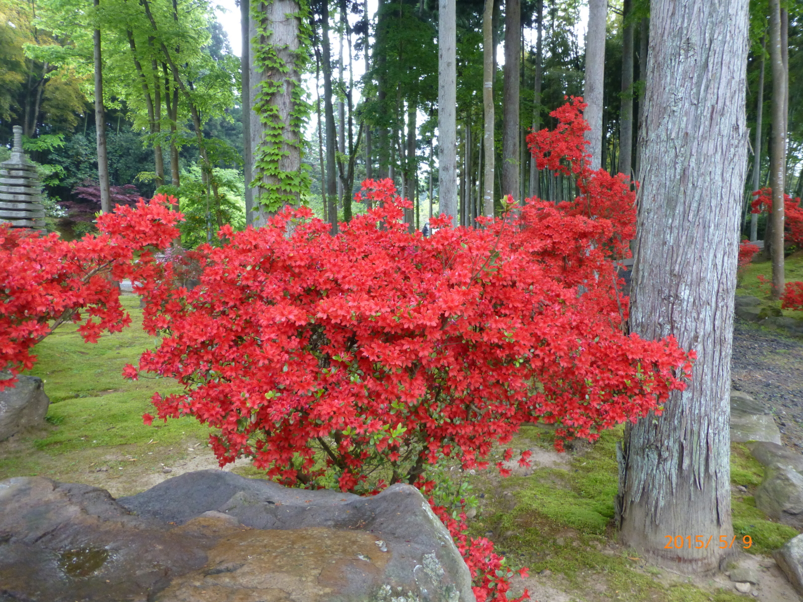 f:id:k10no3:20150509135924j:image:w560