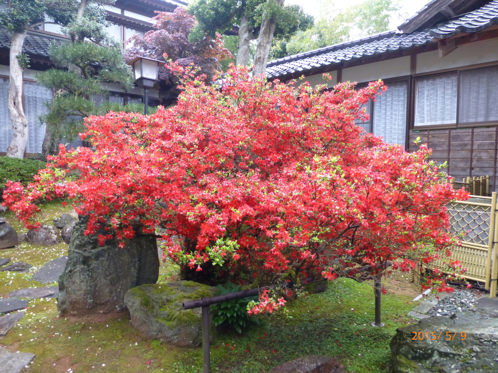 f:id:k10no3:20150509140042j:image:w560