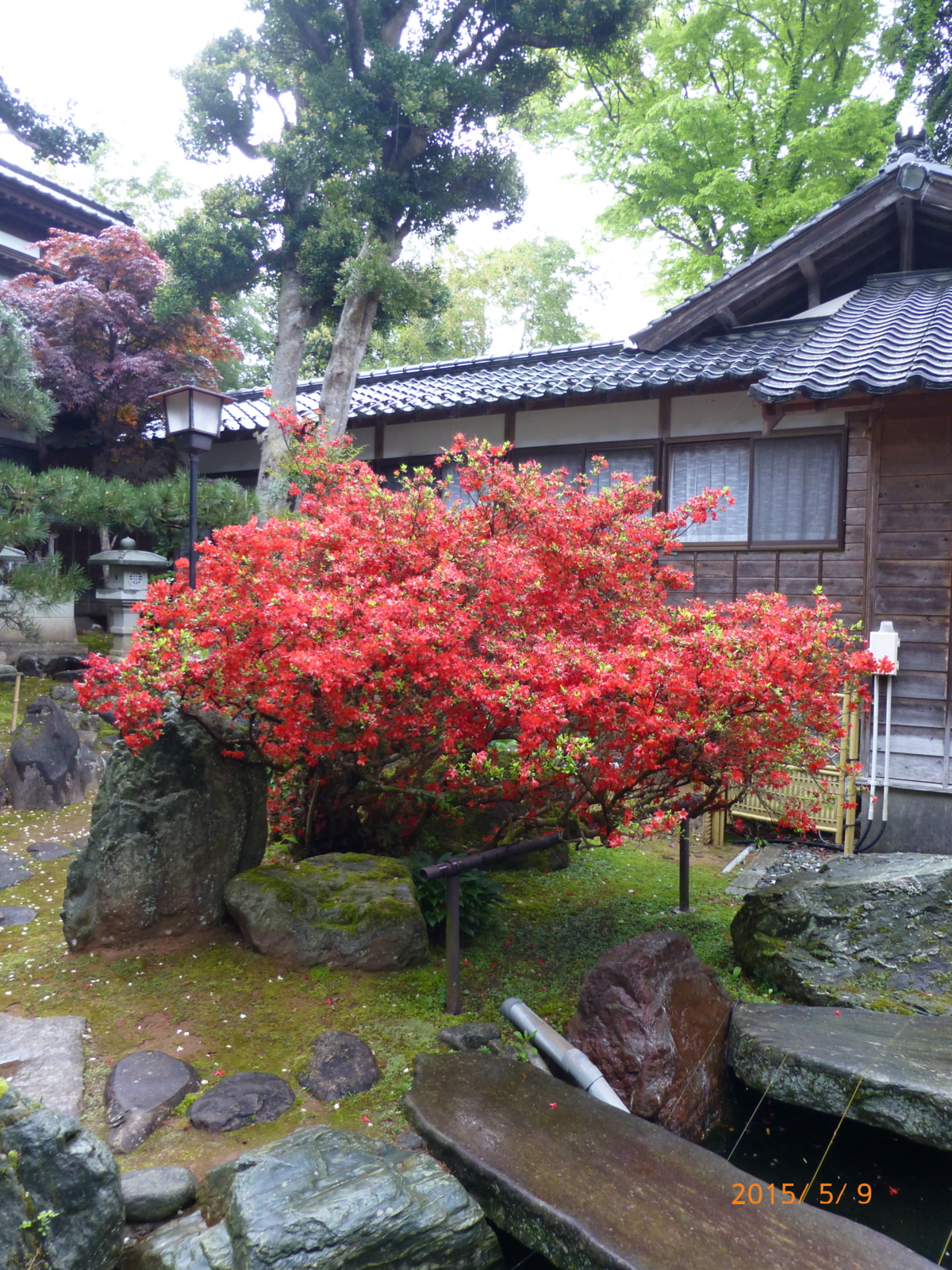 f:id:k10no3:20150509140202j:image:w279