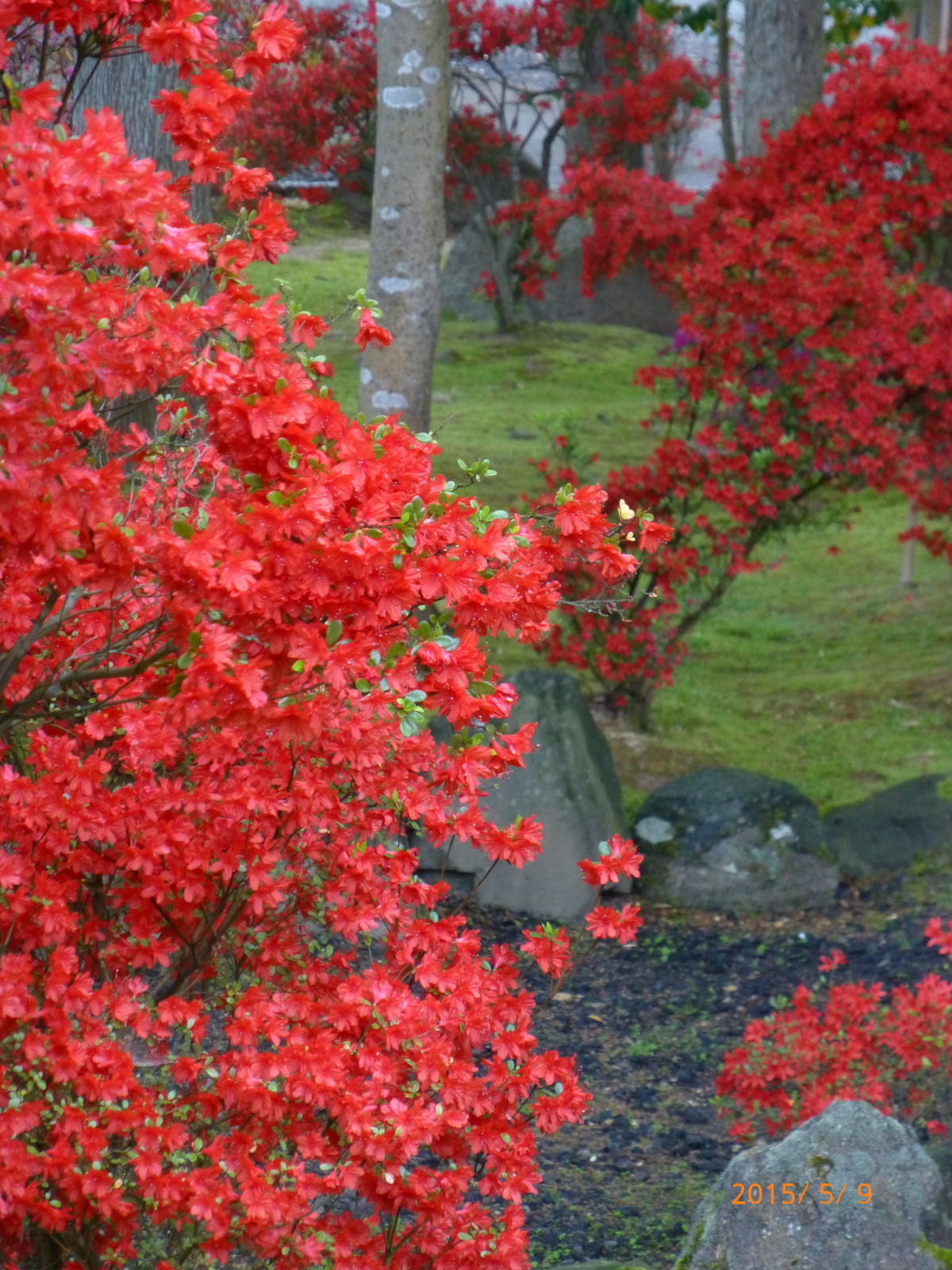 f:id:k10no3:20150509140536j:image:w279