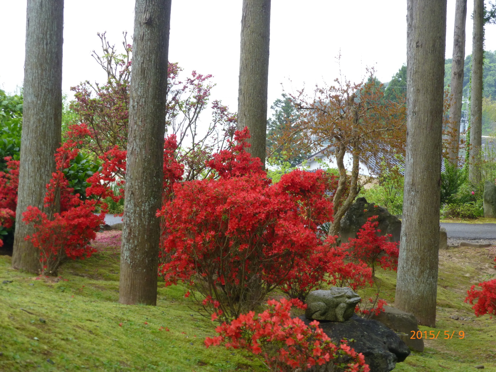 f:id:k10no3:20150509140648j:image:w560