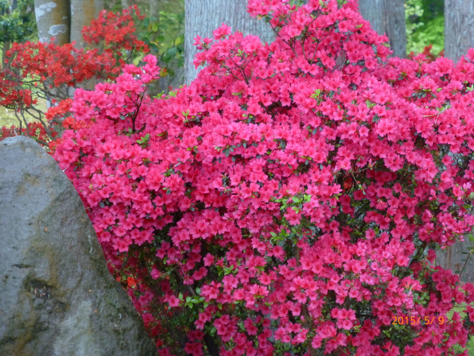 f:id:k10no3:20150509140908j:image:w560