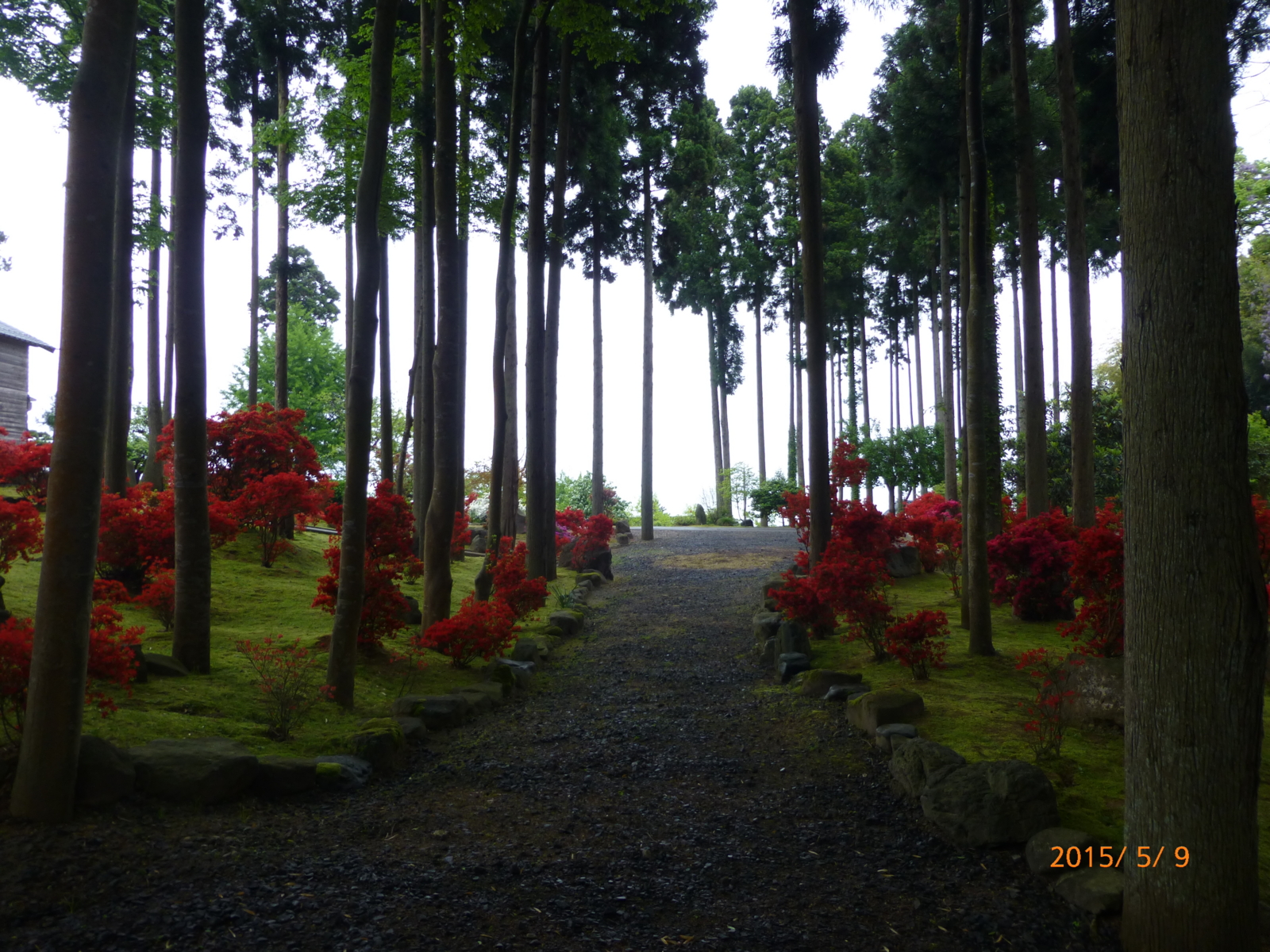 f:id:k10no3:20150509140936j:image:w560 f:id:k10no3:20150509140936j:image:w560