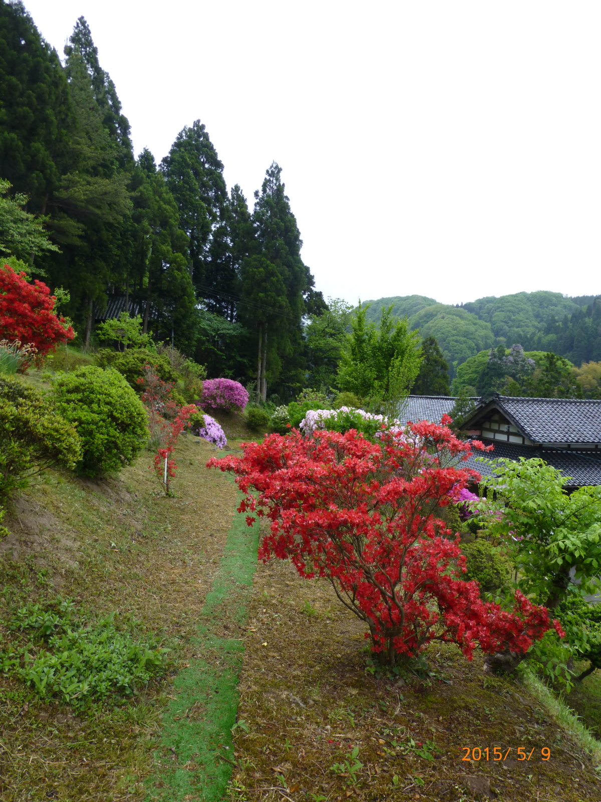 f:id:k10no3:20150509142309j:image:w279