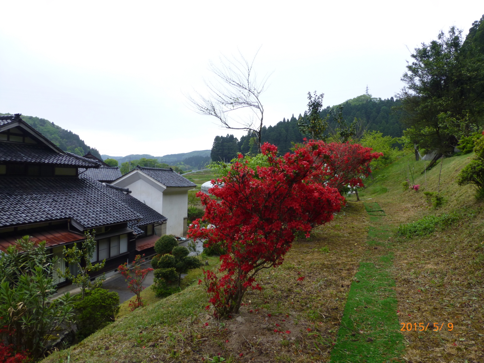 f:id:k10no3:20150509142340j:image:w279