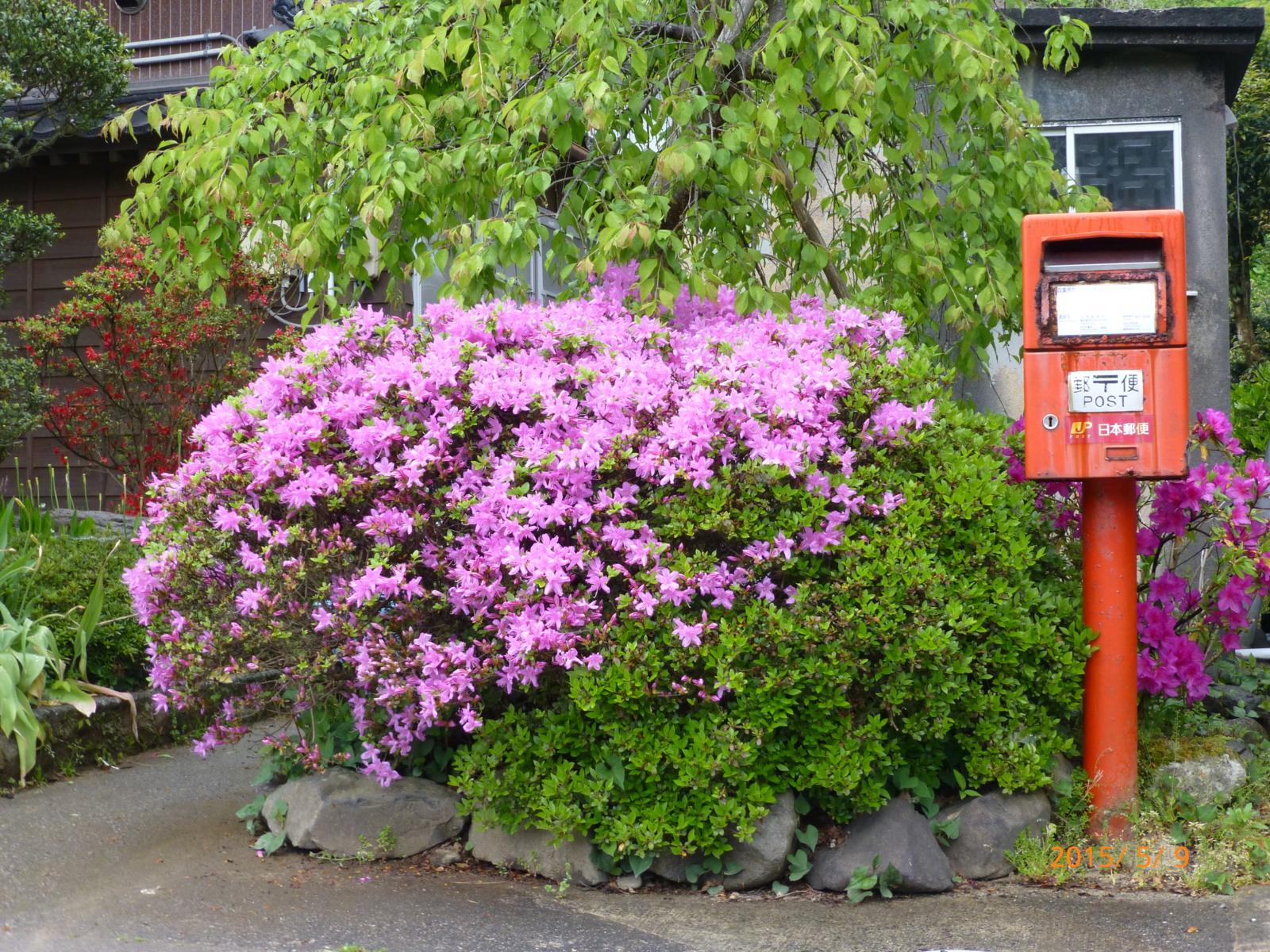 f:id:k10no3:20150509142548j:image:w560