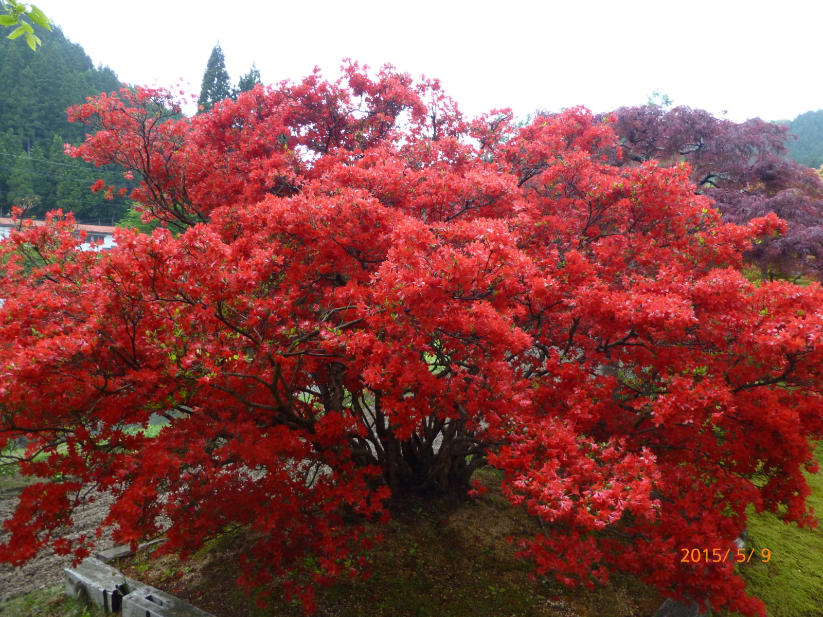 f:id:k10no3:20150509144141j:image:w560
