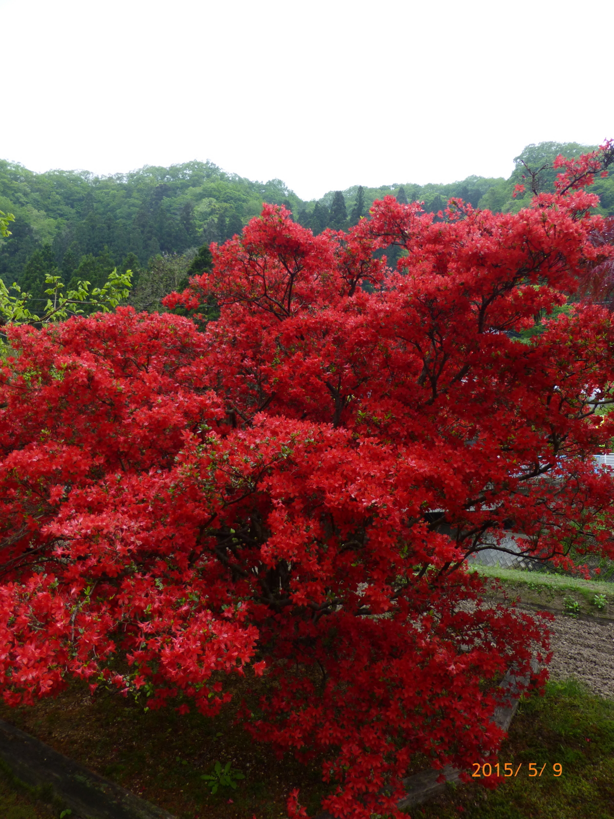 f:id:k10no3:20150509144159j:image:w279