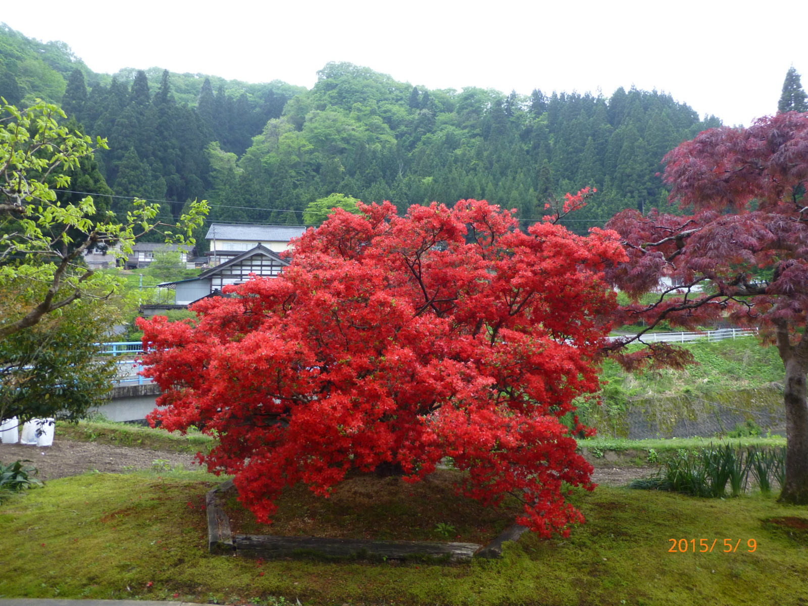 f:id:k10no3:20150509144212j:image:w560 f:id:k10no3:20150509144212j:image:w560