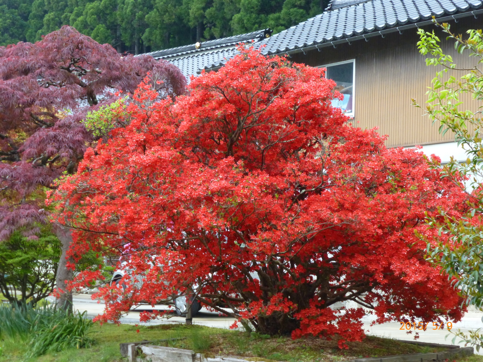 f:id:k10no3:20150509144617j:image:w279