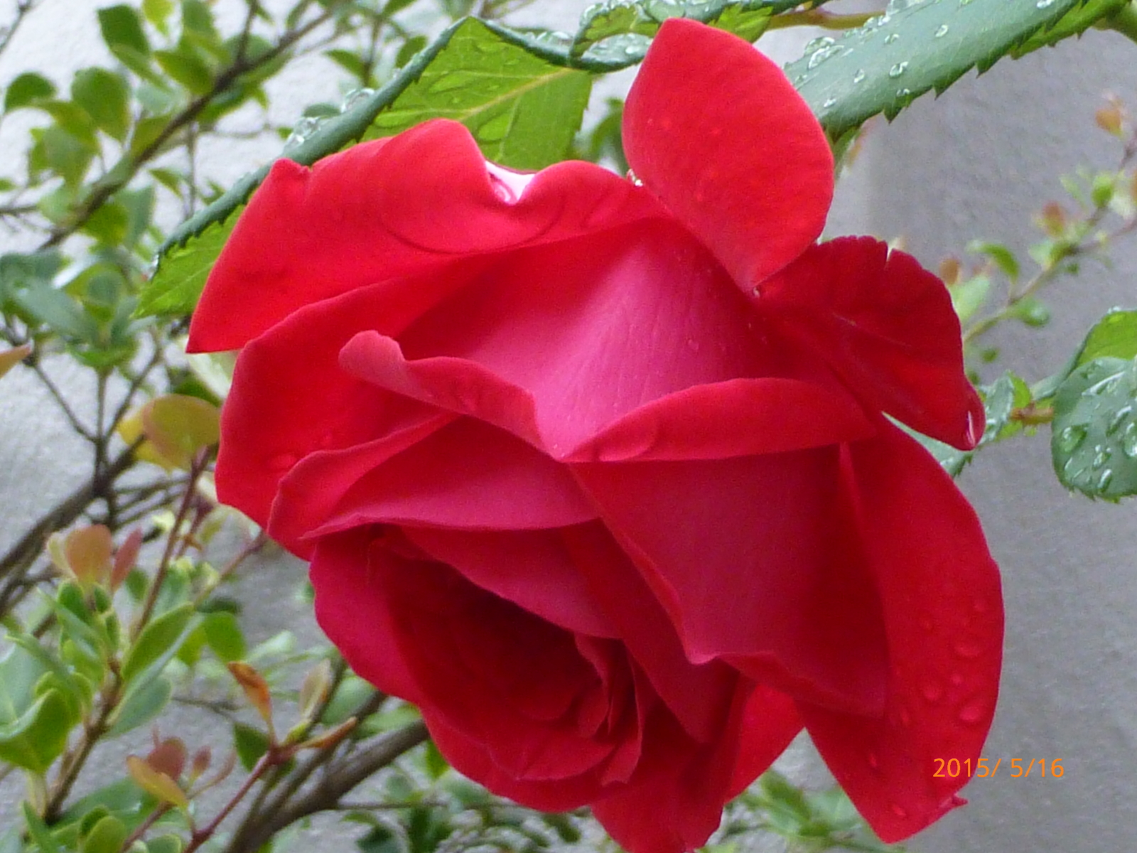 f:id:k10no3:20150516094336j:image:w560 f:id:k10no3:20150516094336j:image:w560