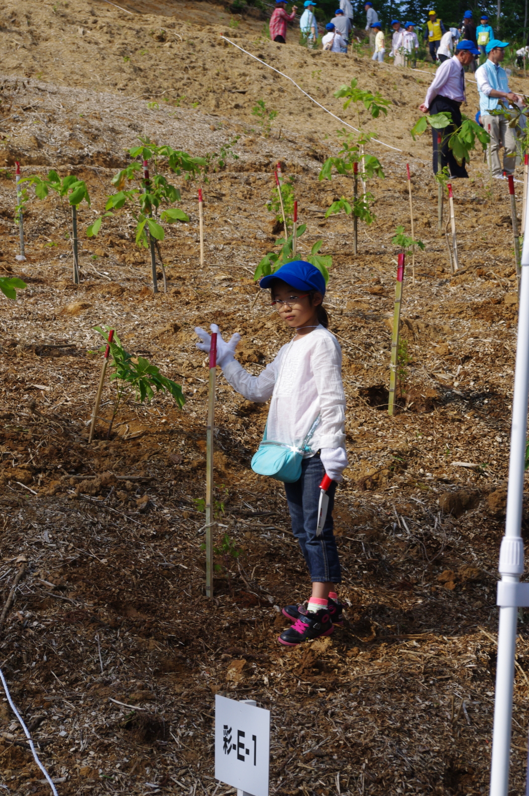 f:id:k10no3:20150517155904j:image:w279