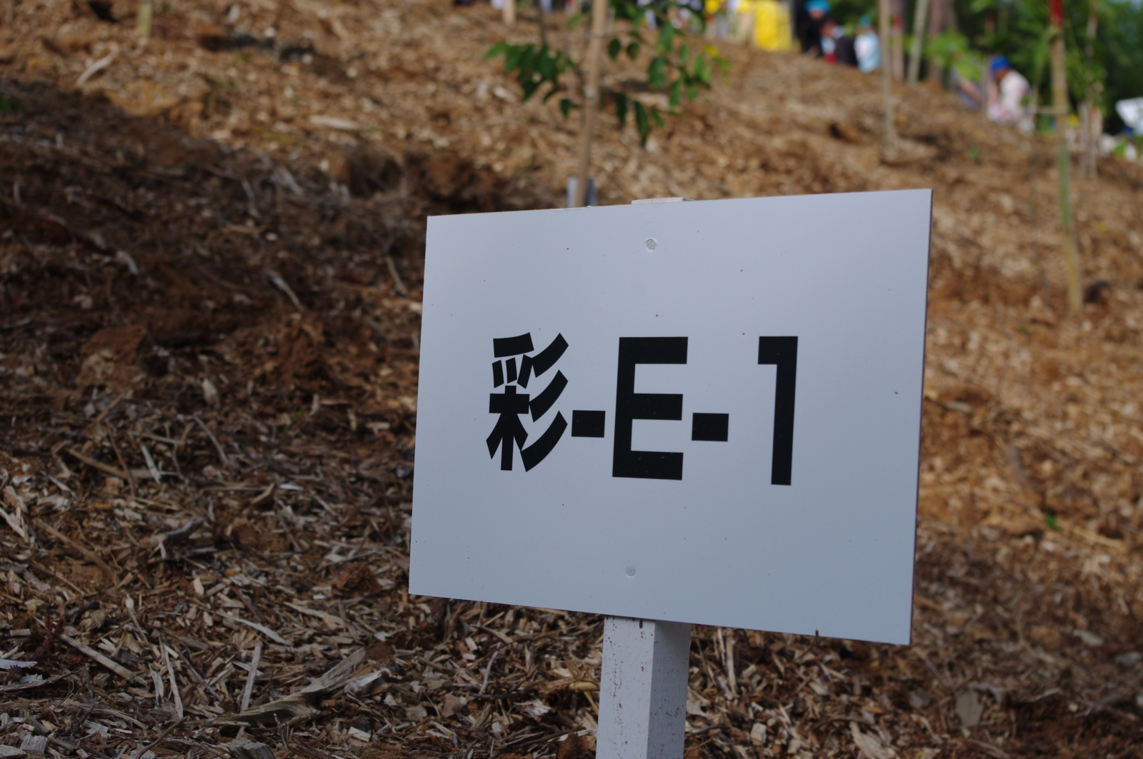 f:id:k10no3:20150517160100j:image:w279
