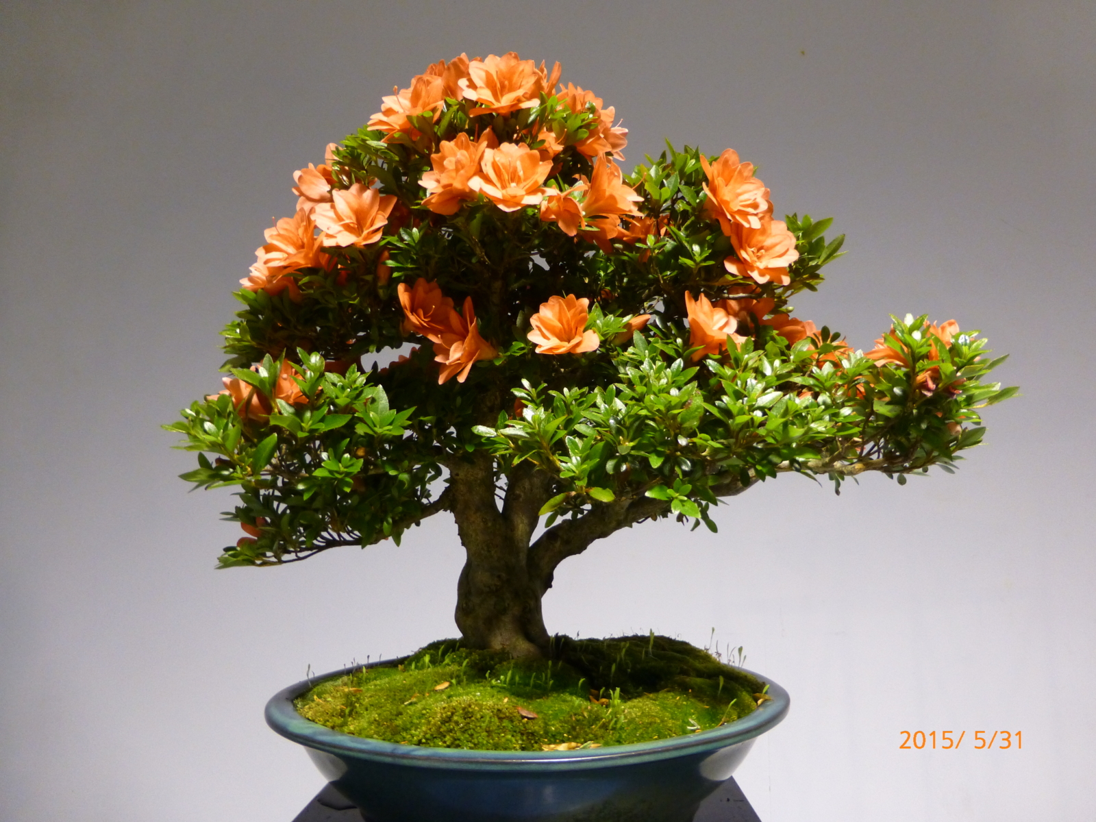 f:id:k10no3:20150531125423j:image:w560 f:id:k10no3:20150531125423j:image:w560