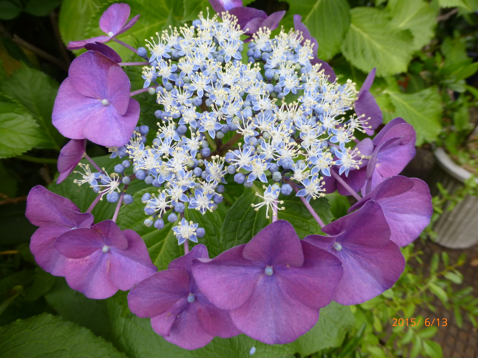f:id:k10no3:20150613172623j:image:w560