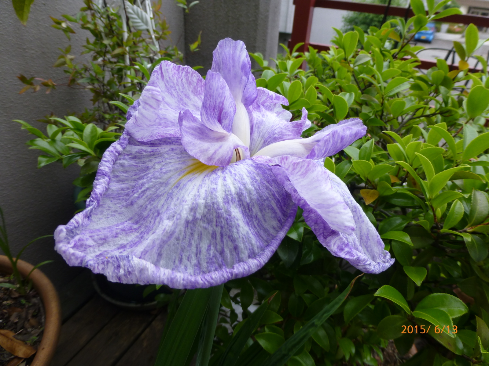 f:id:k10no3:20150613172804j:image:w560
