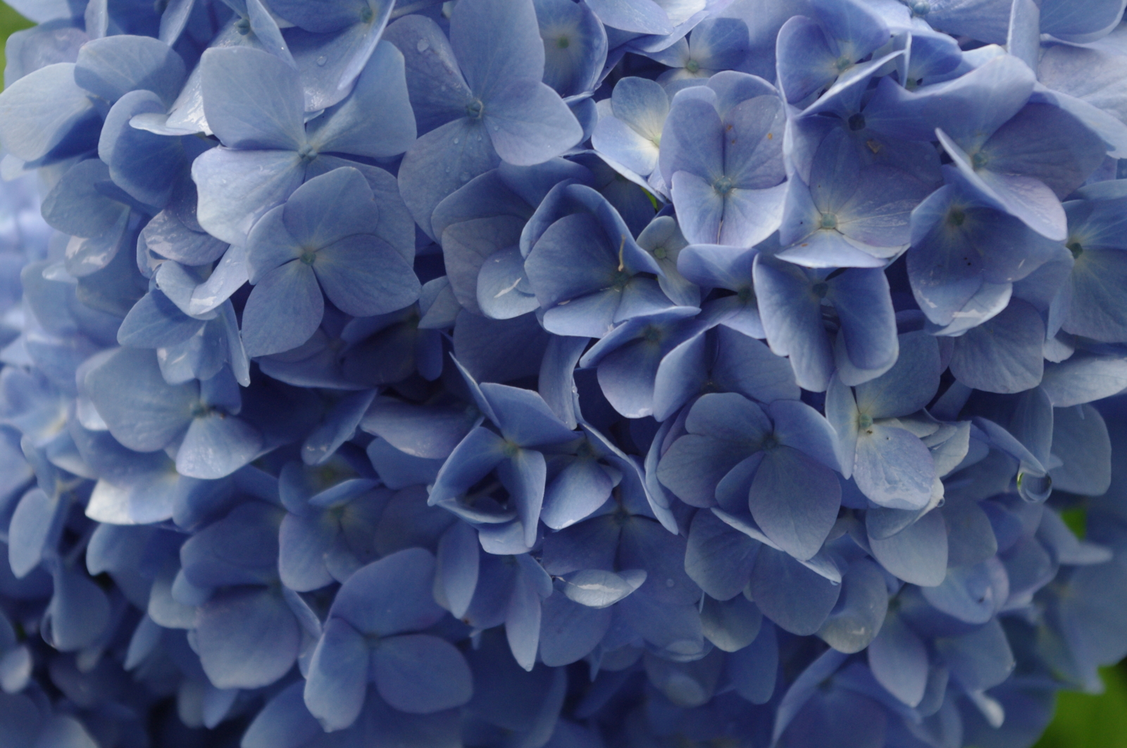 f:id:k10no3:20150620074529j:image:w279