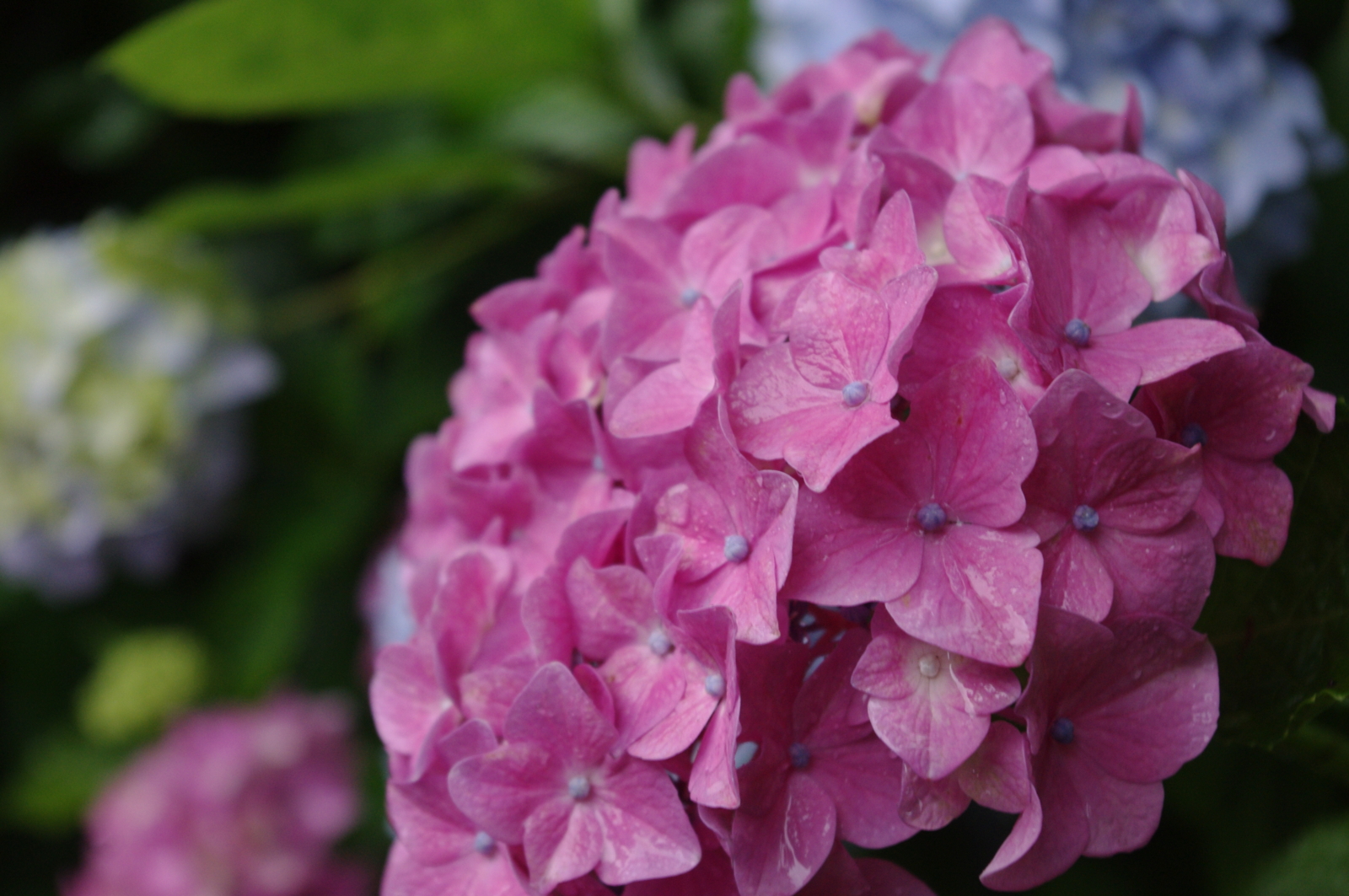 f:id:k10no3:20150620075232j:image:w279