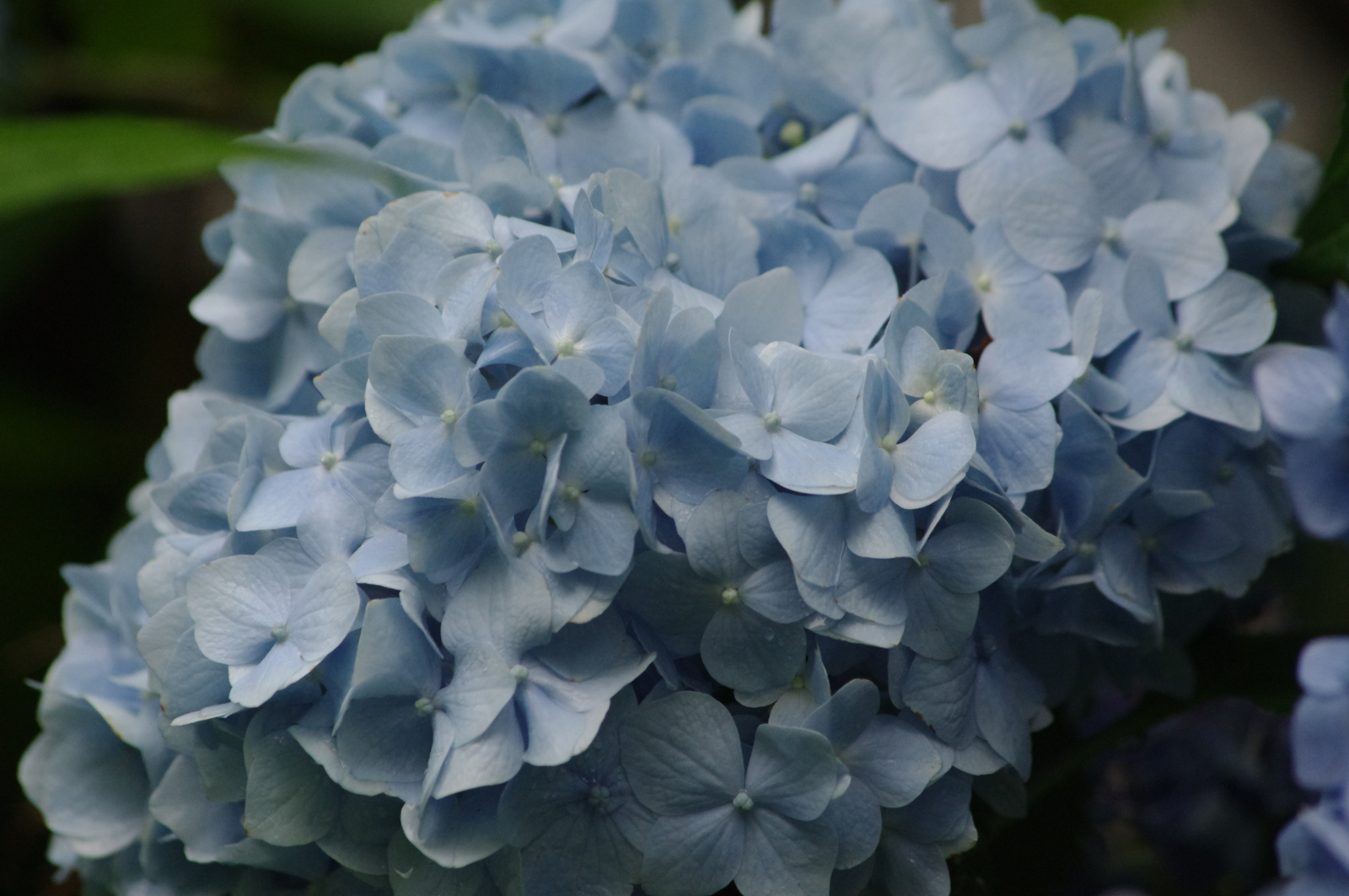 f:id:k10no3:20150620080416j:image:w560
