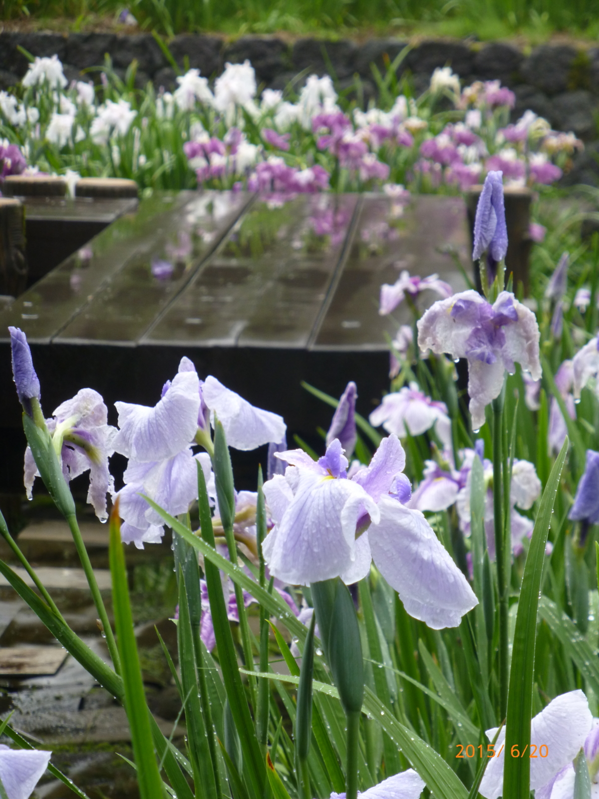f:id:k10no3:20150620083330j:image:w279