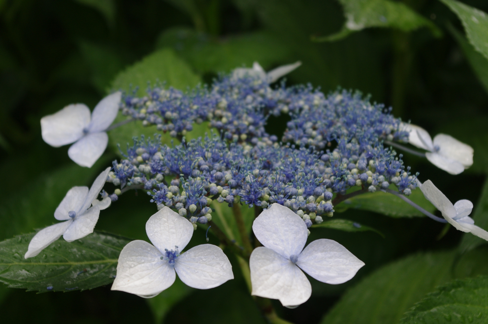 f:id:k10no3:20150620084019j:image:w560