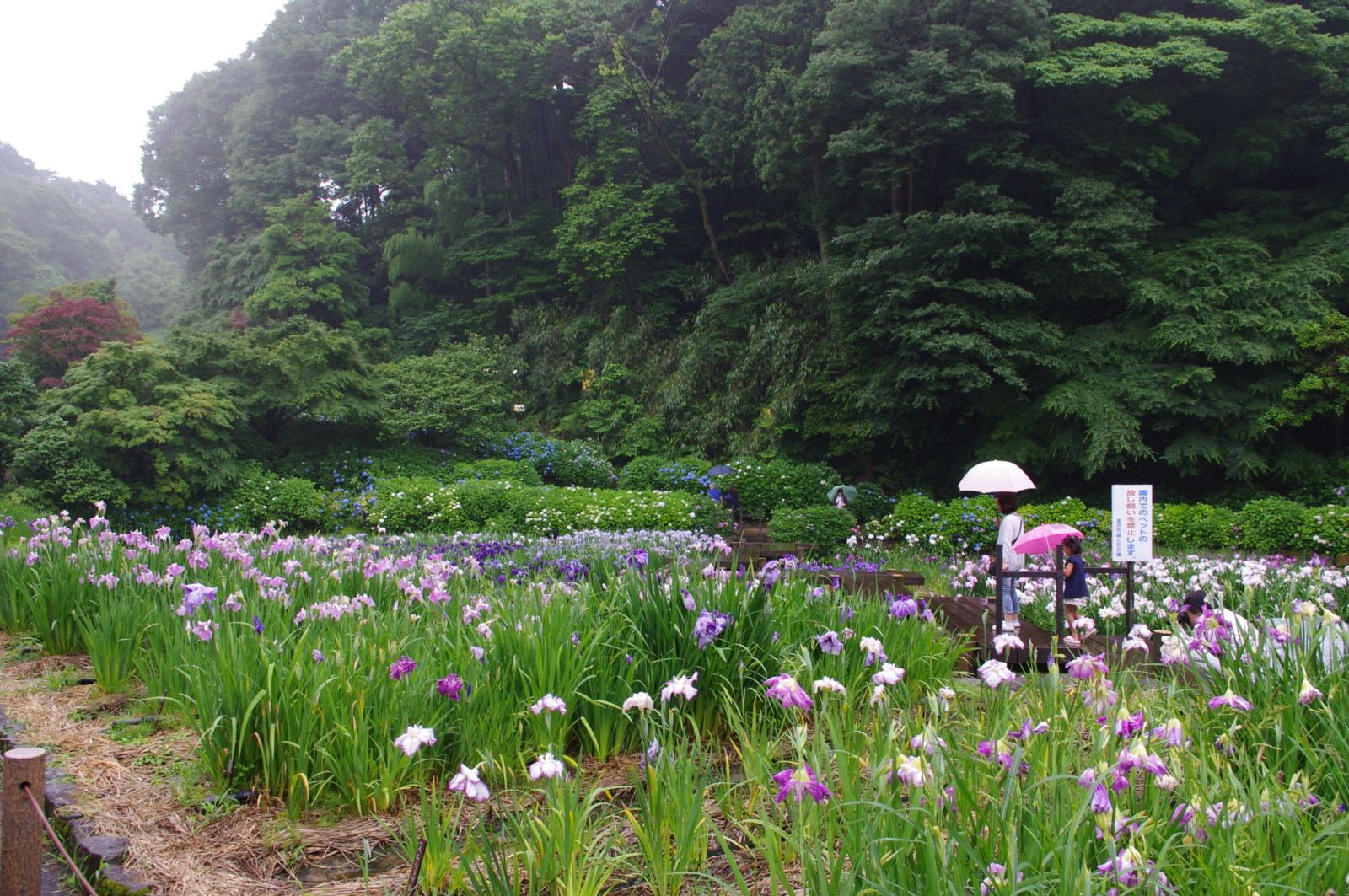 f:id:k10no3:20150620084245j:image:w560