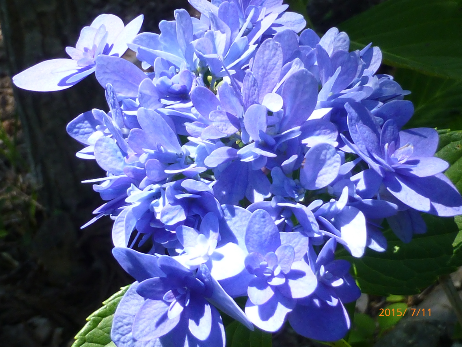 f:id:k10no3:20150711091413j:image:w279 f:id:k10no3:20150711091413j:image:w279