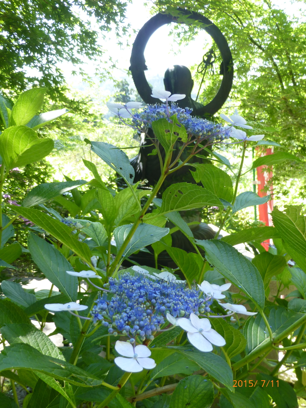 f:id:k10no3:20150711091556j:image:w279 f:id:k10no3:20150711091556j:image:w279