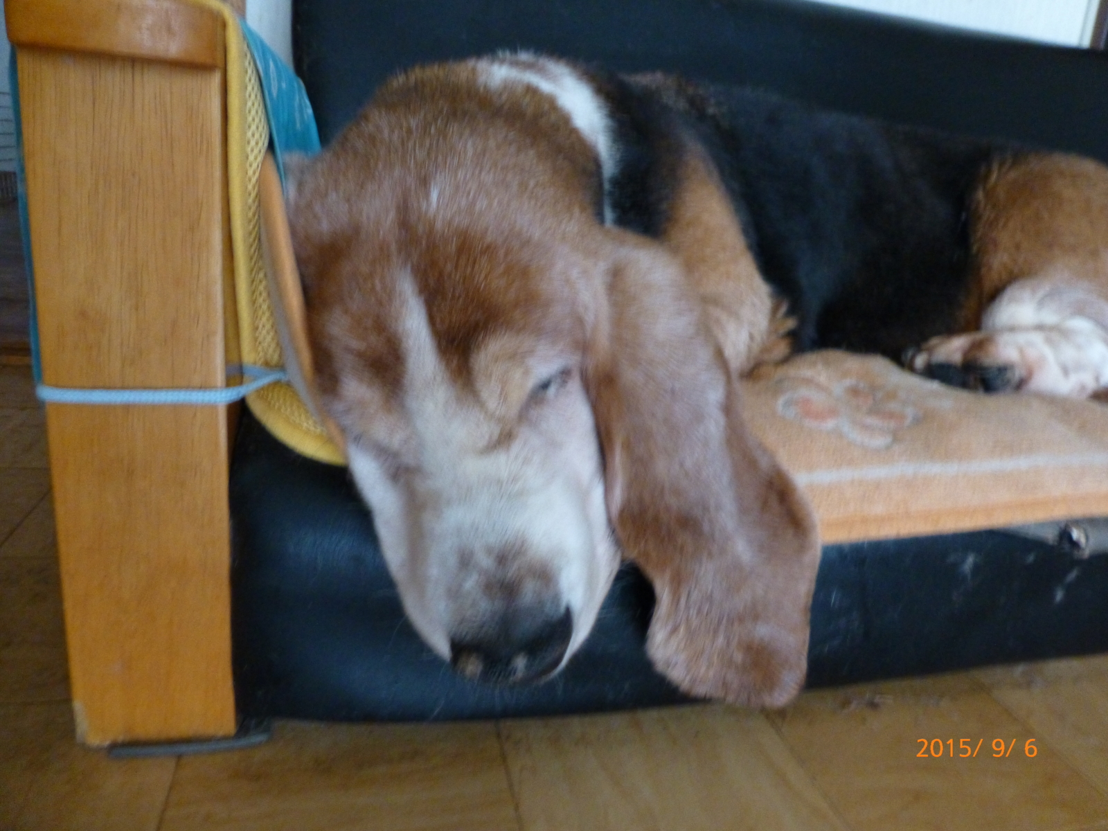 f:id:k10no3:20150906170225j:image:w640 f:id:k10no3:20150906170225j:image:w640