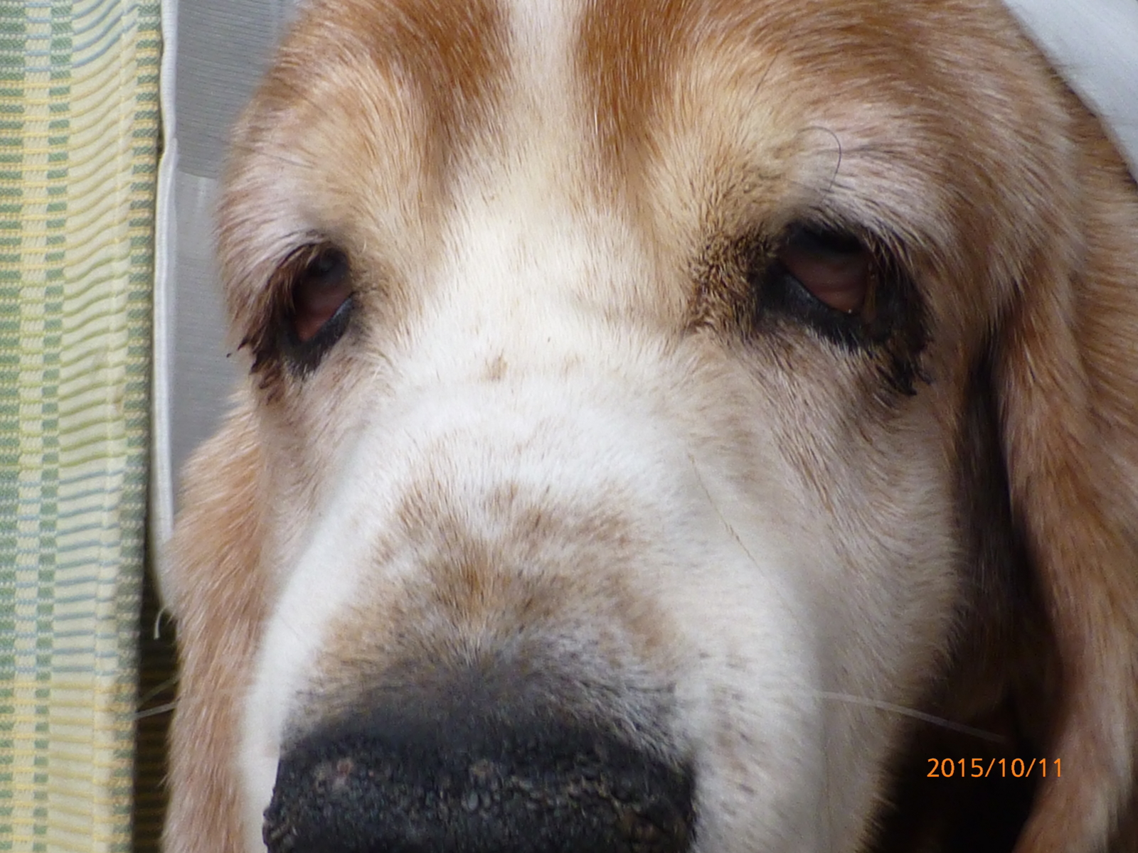 f:id:k10no3:20151011074421j:image:w640 f:id:k10no3:20151011074421j:image:w640