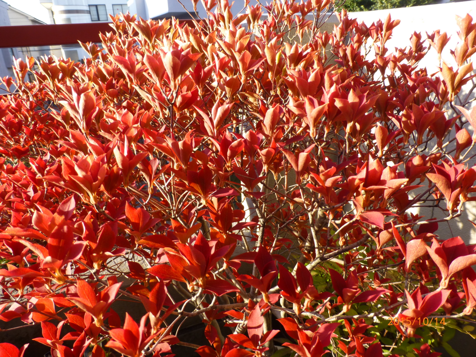 f:id:k10no3:20151014070600j:image:w560