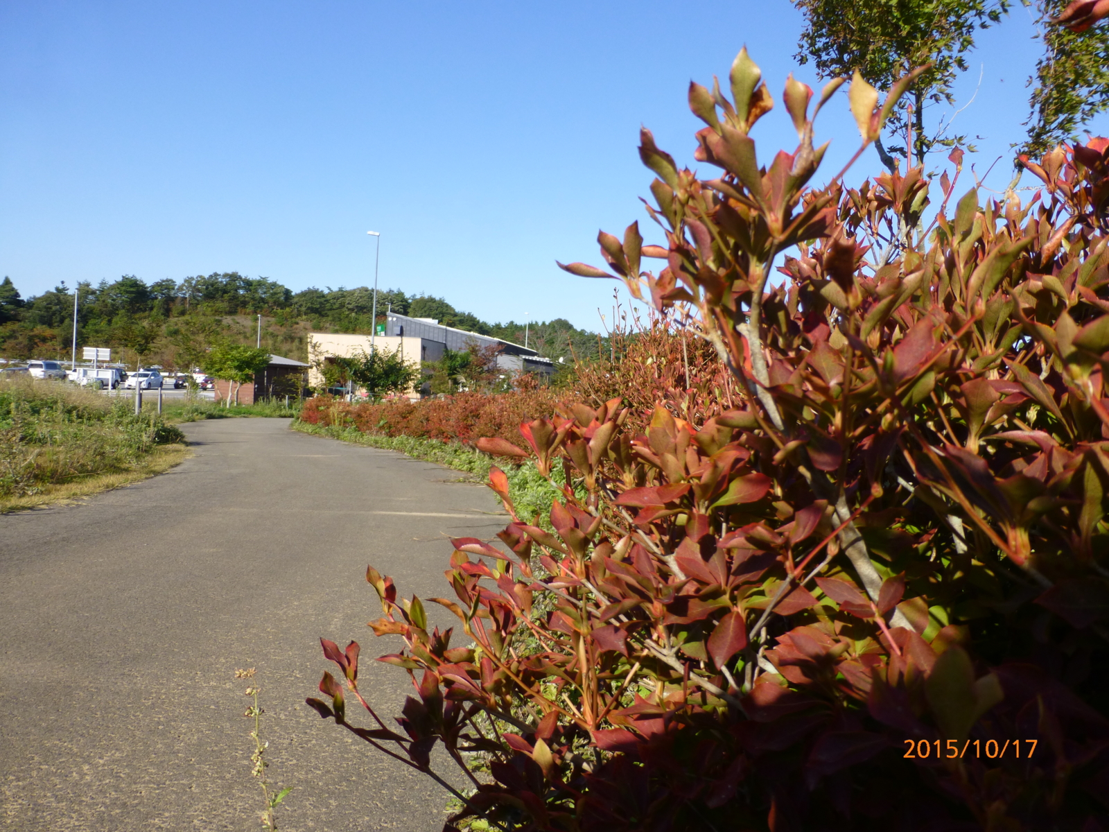 f:id:k10no3:20151017081545j:image:w560