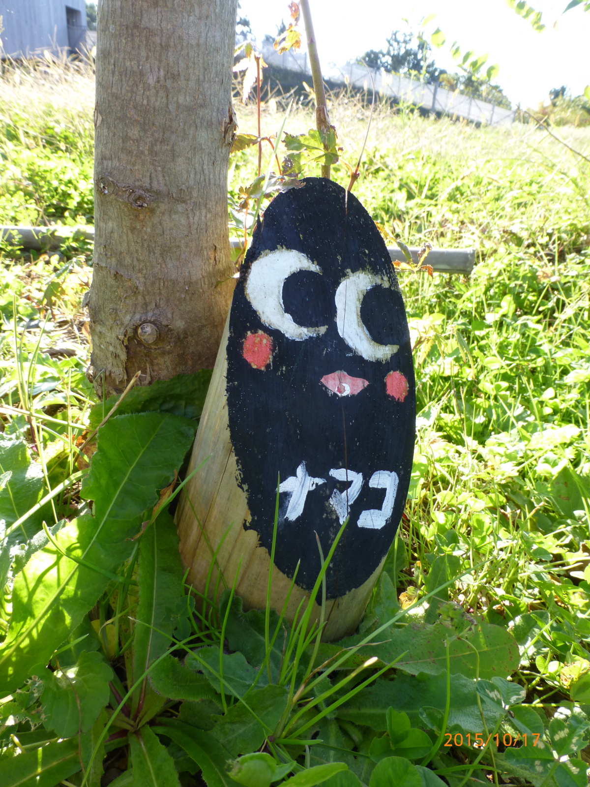 f:id:k10no3:20151017081635j:image:w279