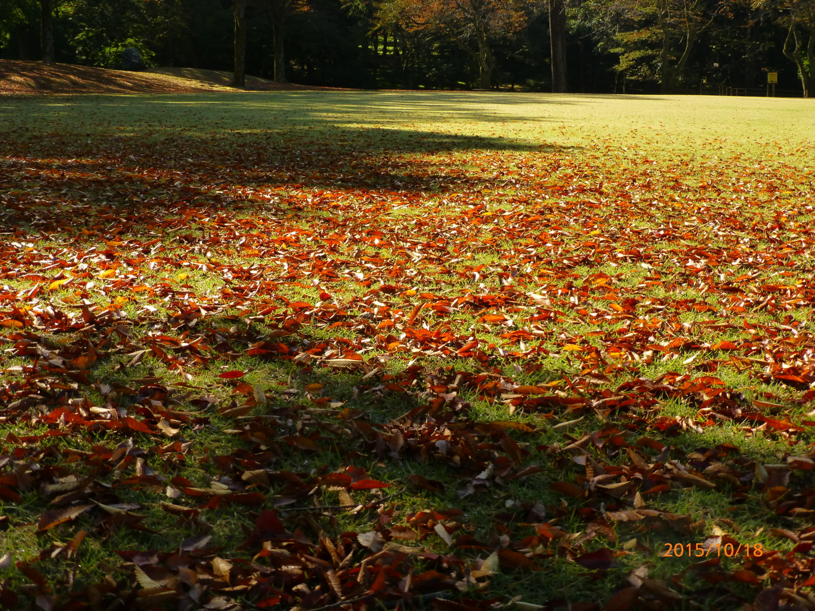 f:id:k10no3:20151018085505j:image:w560