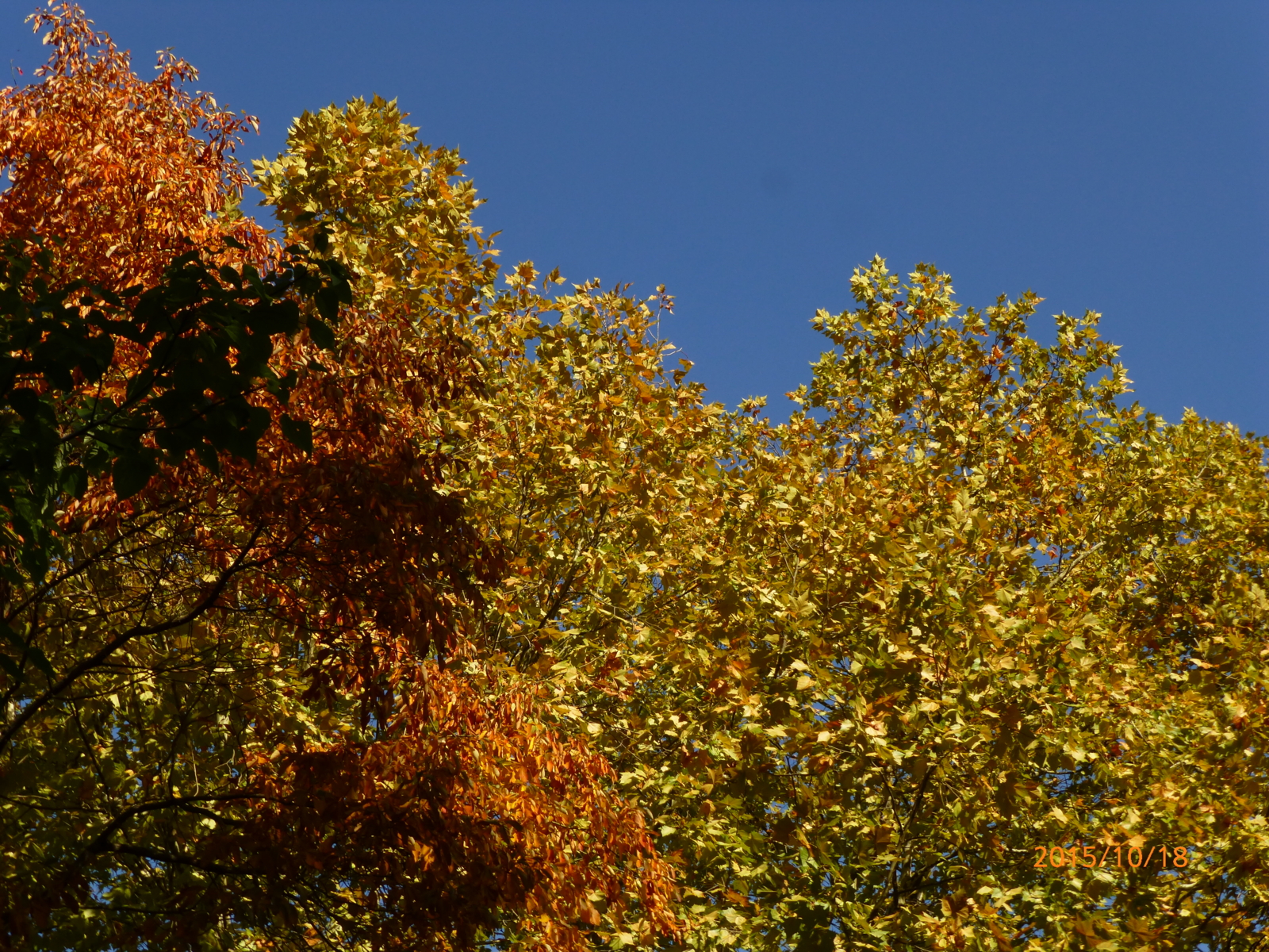 f:id:k10no3:20151018090407j:image:w560