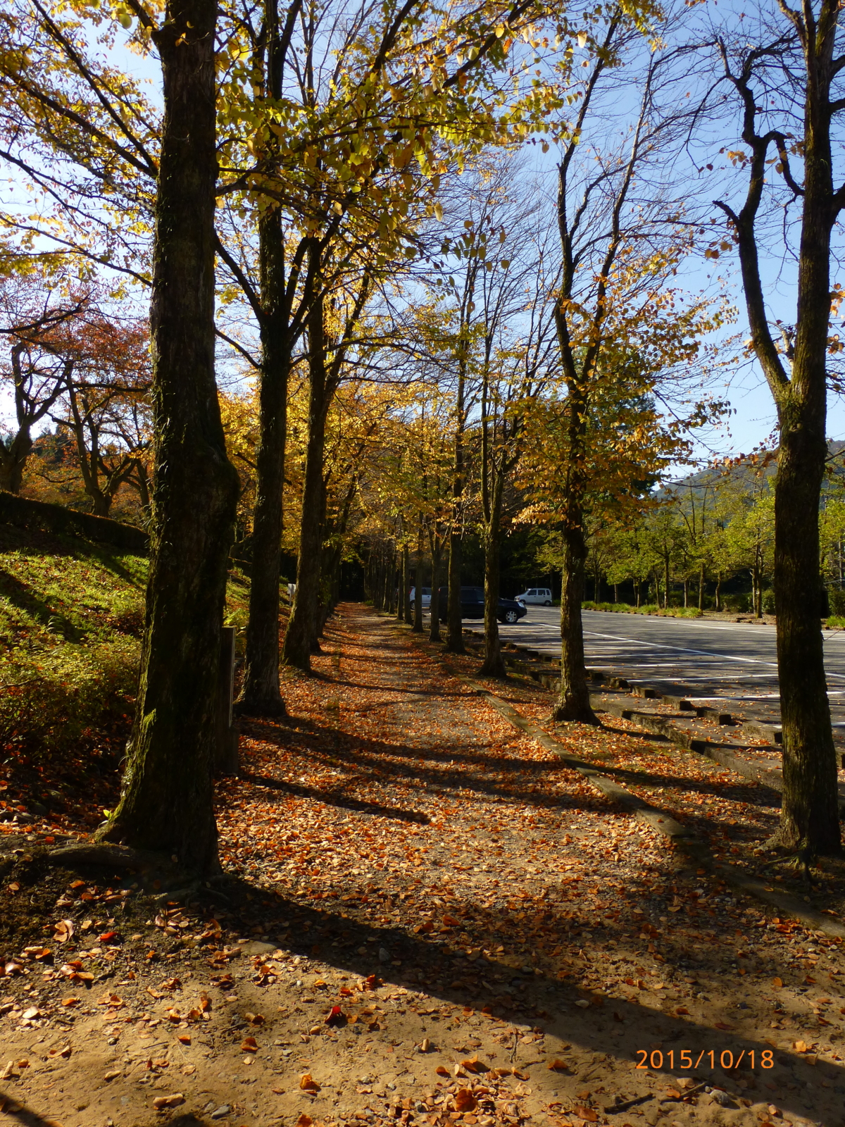 f:id:k10no3:20151018091529j:image:w279