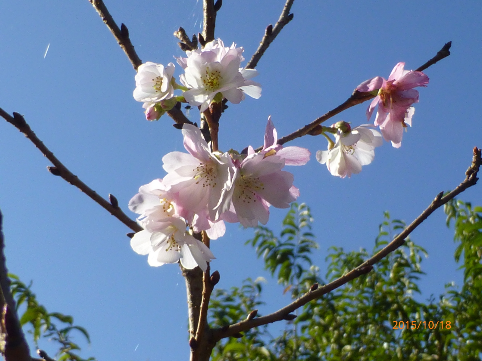 f:id:k10no3:20151018091929j:image:w560 f:id:k10no3:20151018091929j:image:w560