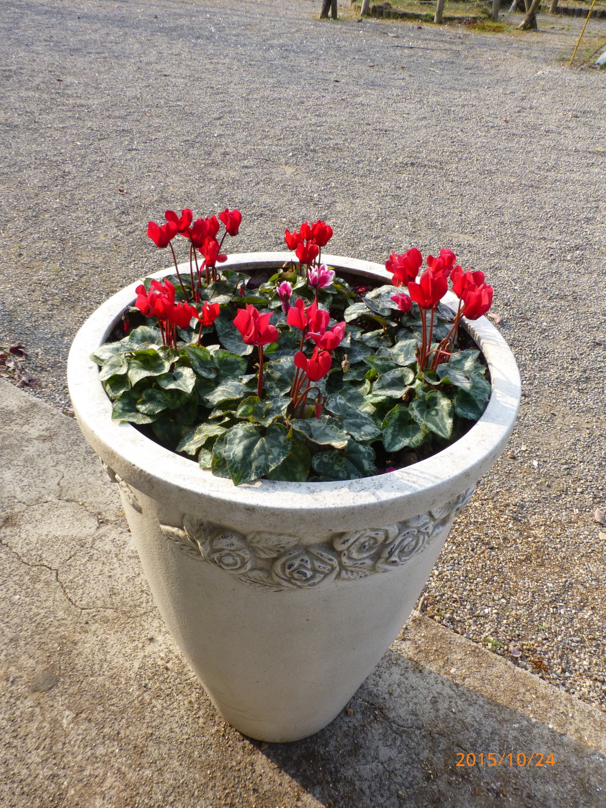 f:id:k10no3:20151024081724j:image:w279