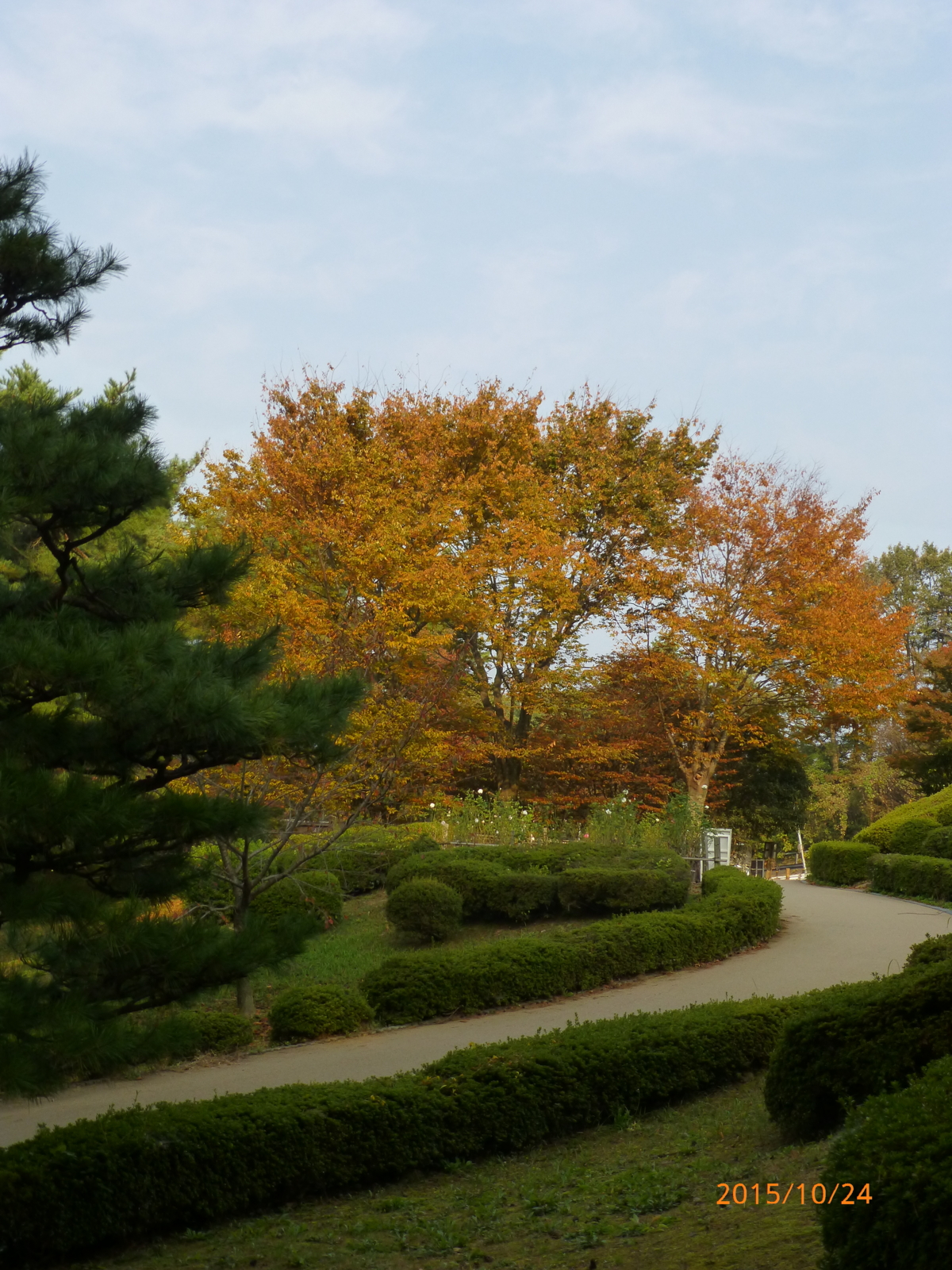 f:id:k10no3:20151024082418j:image:w279