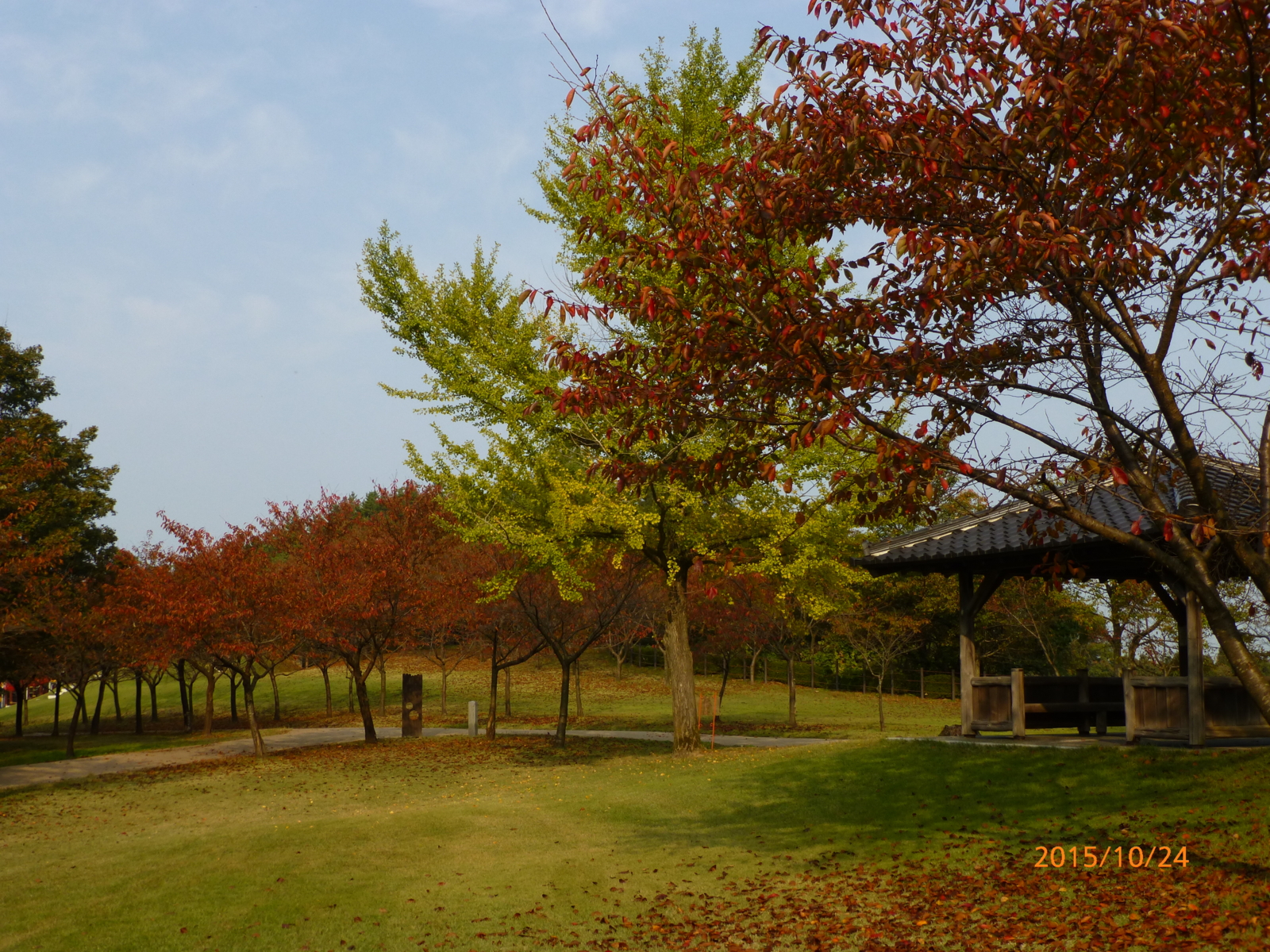 f:id:k10no3:20151024083613j:image:w560