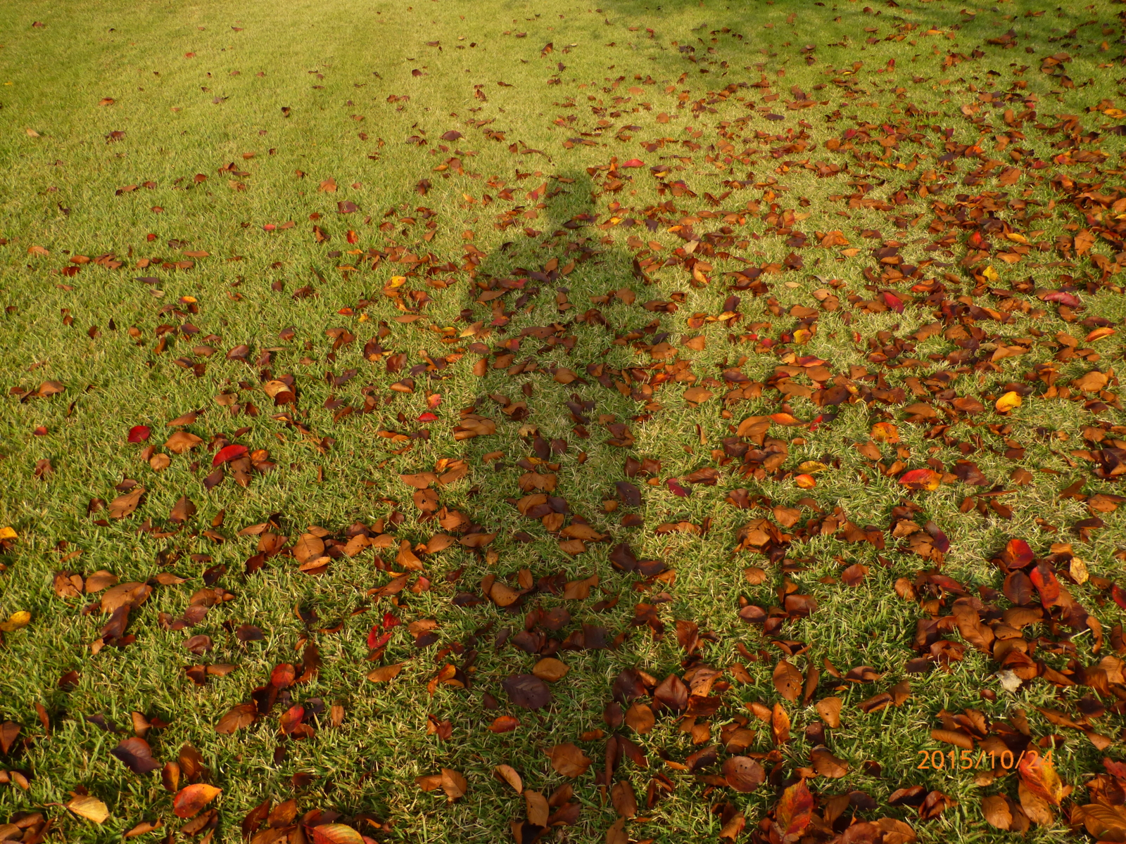 f:id:k10no3:20151024083717j:image:w560