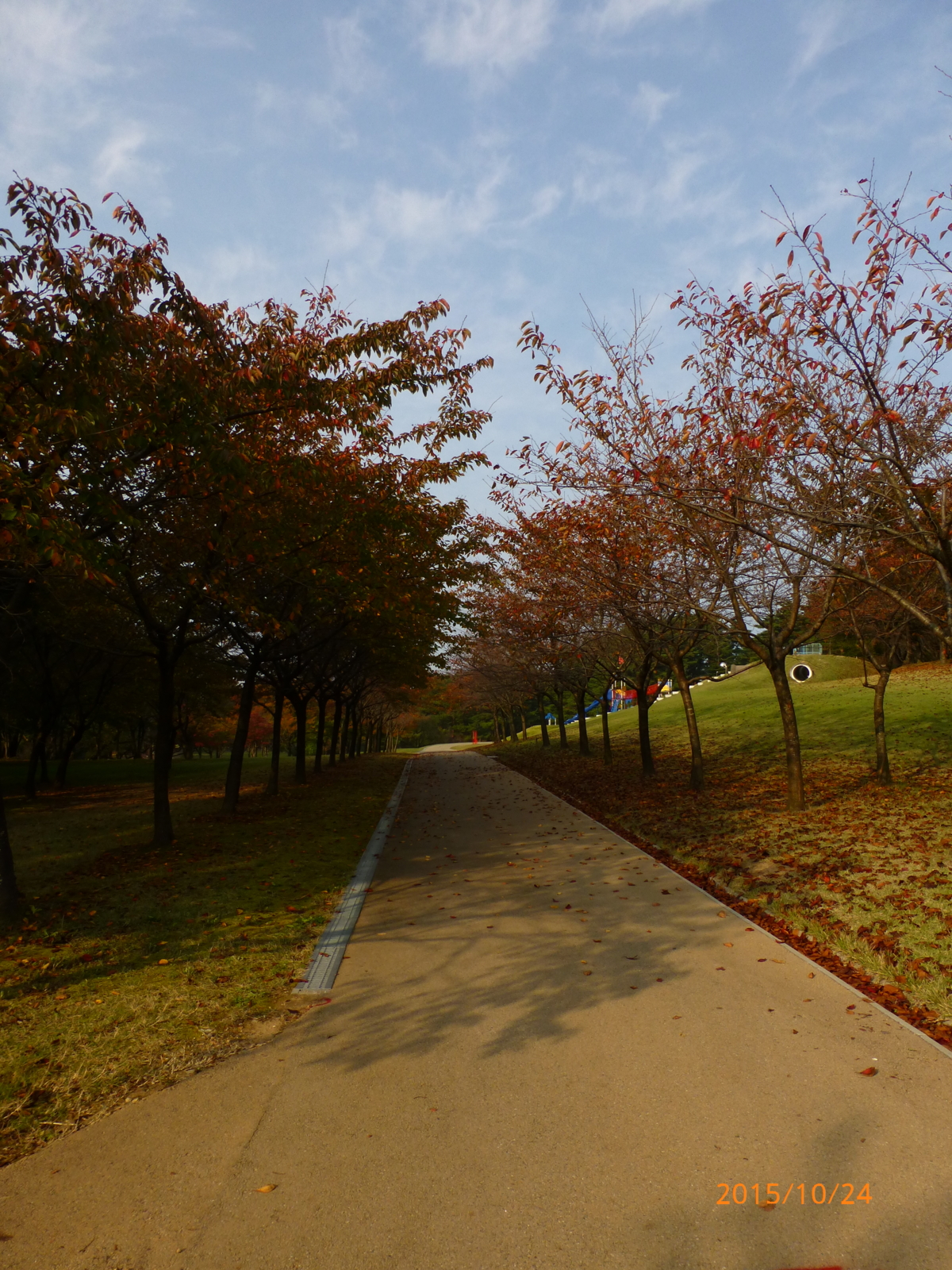 f:id:k10no3:20151024083801j:image:w420