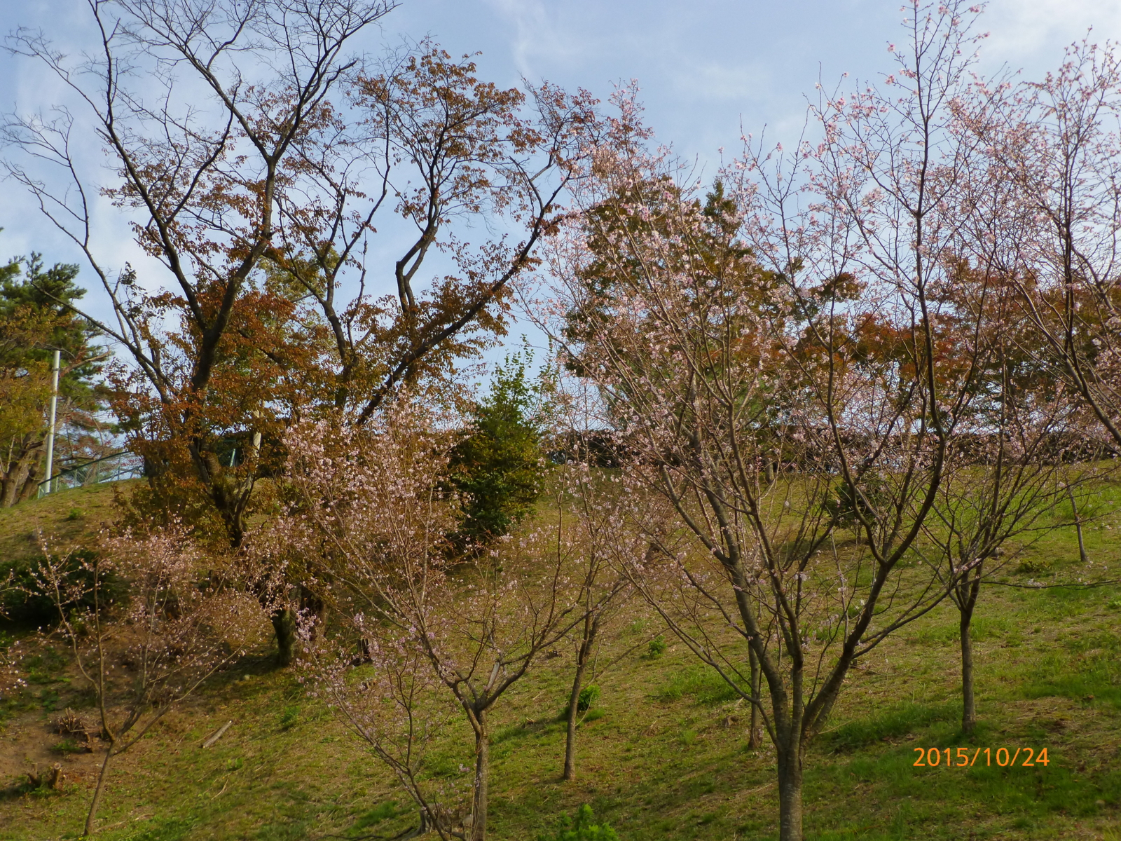 f:id:k10no3:20151024092137j:image:w560